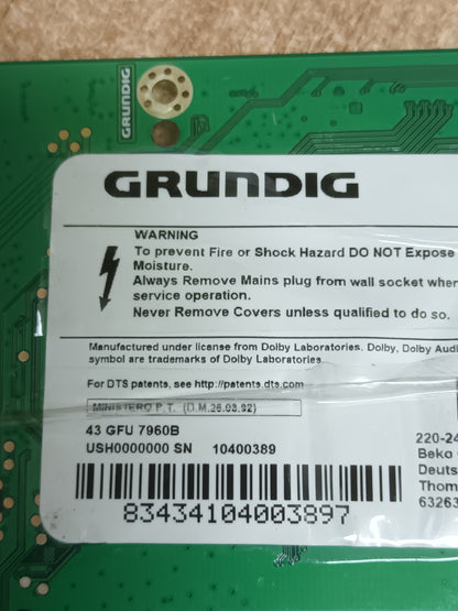 ZG2190R-24, PLACA MAIN GRUNDIG, de tv GRUNDIG 43GFU7960B,
