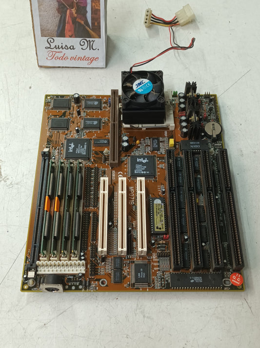 Edom/WinTech MP071B,  PLACA BASE, (PL-32)