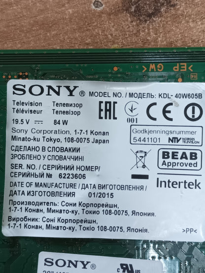 PLACA LED DRIVER 1-893-573-11 (173513411)
