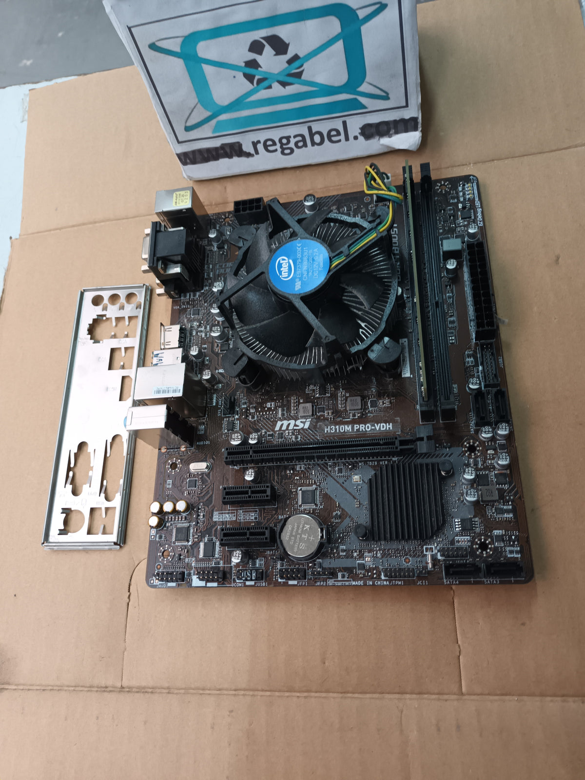 placa base MSI H310M PRO-VDH, procesador PENTIUM GOLD G5500, 380Ghz y 4GB